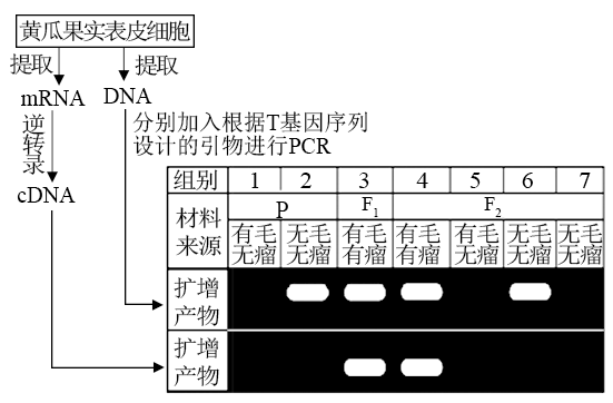 轴承与pcr扩增仪器的区别