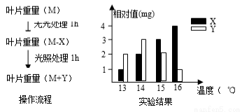 发热管的材质