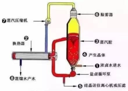 镜头与电渗析和渗透的区别是什么