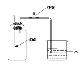 实验电炉价格