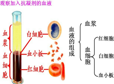 等离子切割机冒出的烟有毒吗